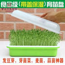 Pea seedling planting plate hair bean sprouts seedling plate sprouts vegetable wheat insulation with cover potted hydroponic vegetables