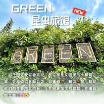 idYllife Insect House Solid Wood Outdoor Letter Insect Hotel Beetle Nest School Popular Science Courtyard Ecological Protection