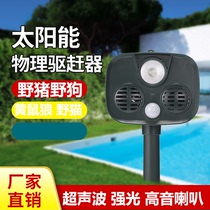  Solar ultrasonic drive alarm Outdoor drive wild dog Wild cat weasel yellow sheep animal outdoor horn