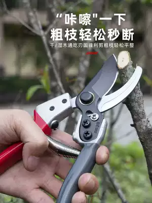 Japan imported stainless steel sk5 scissors garden floral repair branch shears fruit tree cut rough branch fruit garden scissors