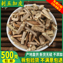 Eleutheroccus eleuthero 500g Cold Back Herbs Chinese Herbal Medicine Shop