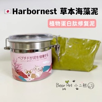 Japans original imported Habolette pet Spa plant herbage Seaweed Raising Clay Dog Cat catwalk usage bucket