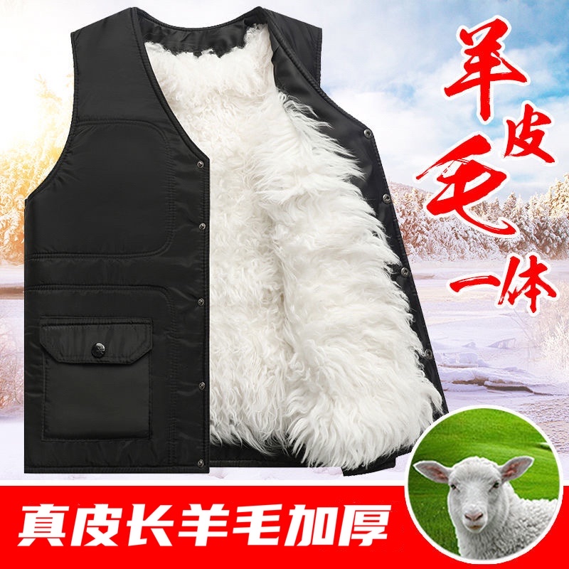 Fur integrated vest men's wool warm vest sheep shearing thickened middle-aged and elderly warm inner bile vest winter vest