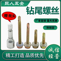 Outer hexagon drill tail screw color steel tile nail dovetail screw self-drilling self-tapping drill tail screw M4 8M5 5