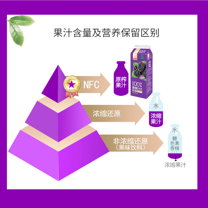 宝桑园桑葚汁NFC桑椹原浆纯桑果汁