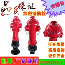 Xinglong outdoor fire hydrant SS100 65-1 6 fire equipment outdoor above-ground fire hydrant underground hydrant water pump connection