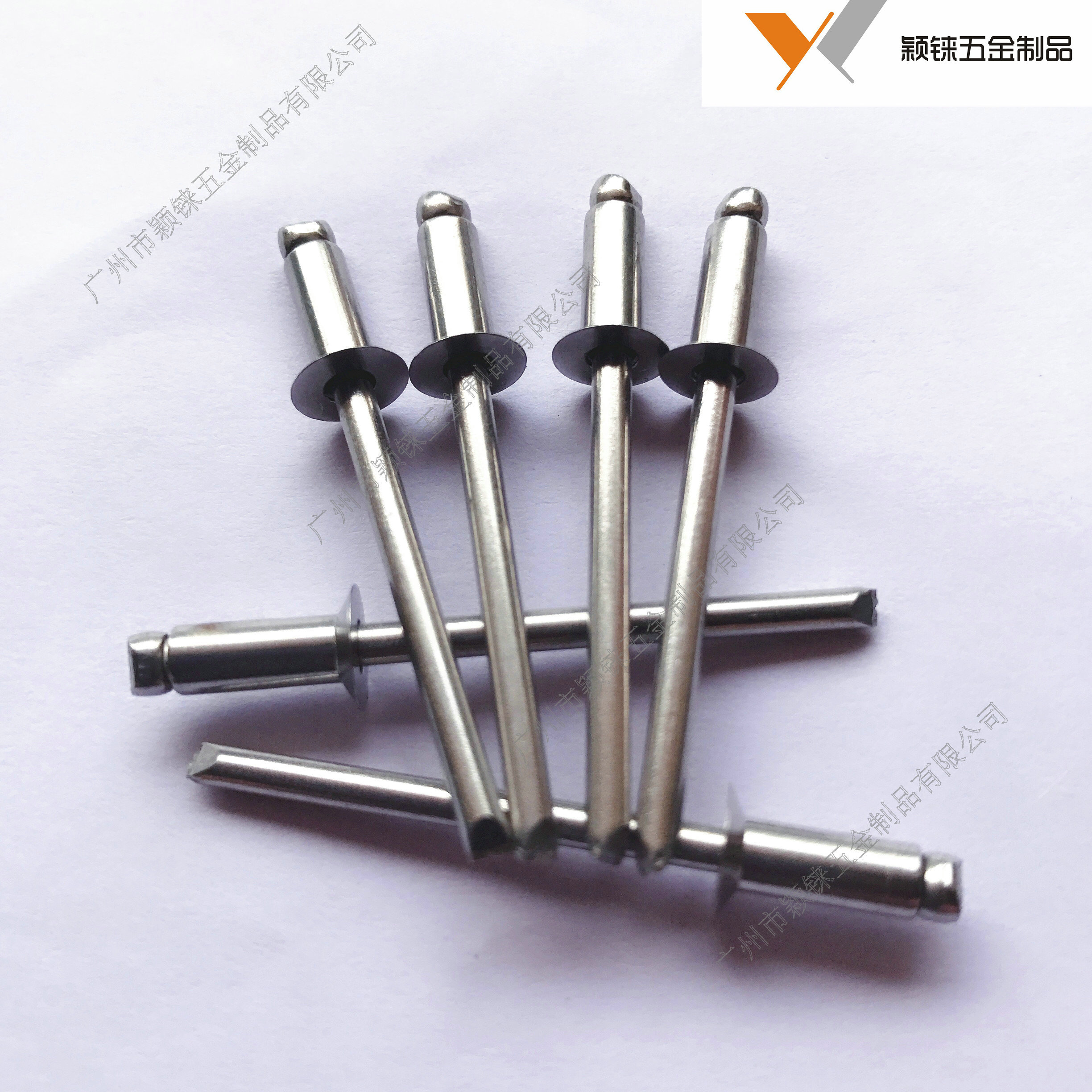 Stainless steel 316 opening head pumping rivets flat head pull rivets squatting square seal 3 2 4 4 8 5 6 4*8