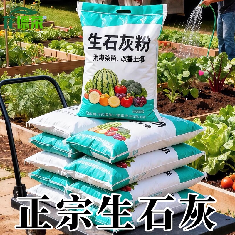 Authentic Lime Powder for Growing Vegetables, Sterilization and Disinfection, Desiccant, Improves Fish Pond Soil, Lime Blocks for Dehumidification, Useful for Wall Painting Authentic Lime Powder for Growing Vegetables, Sterilization and Disinfection, Desiccant, Improves Fish Pond Soil, Lime Blocks for Dehumidification, Useful for Wall Painting
