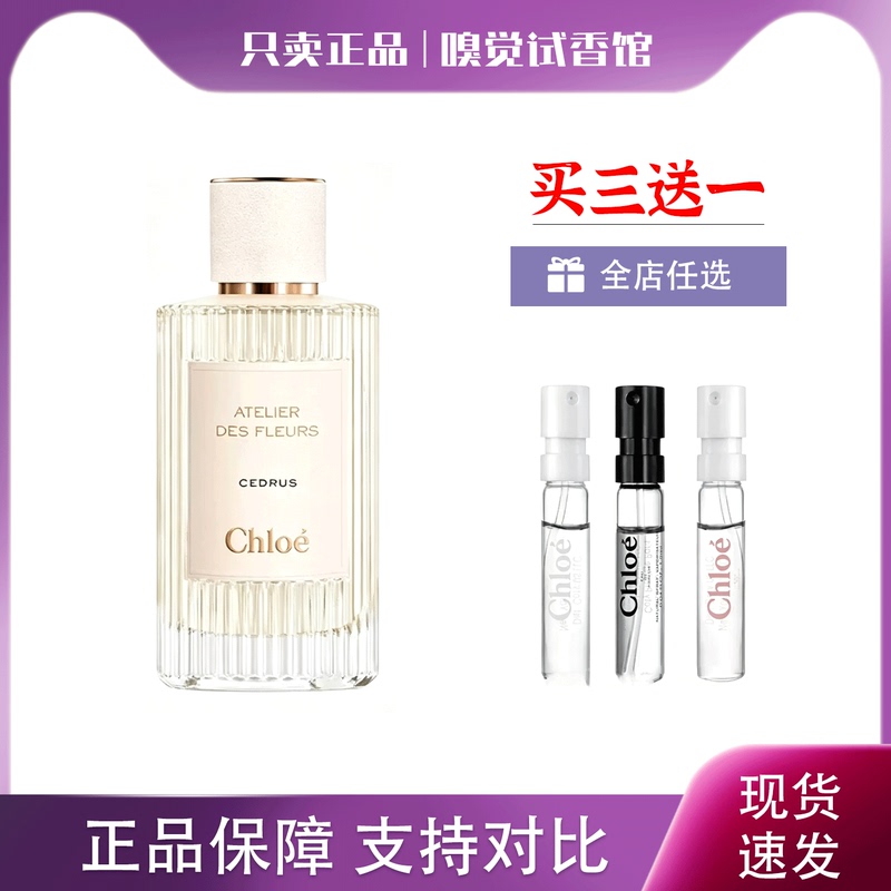Chloe/Chloe Wanderer Little Piggy Bag with Meat Ribbon Morning Magnolia Poetry Northland Cedar Perfume Sample