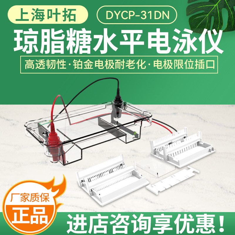上海叶拓DYCP-31DN琼脂糖水平电泳槽DYY-6C电泳仪电源可配伯乐