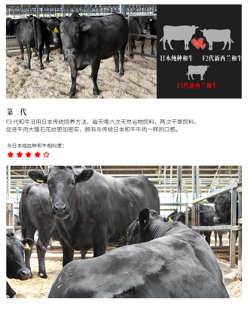 牛肉届的爱马仕谷言进口和牛保乐肩牛肉块500g 天猫价格79元包邮 网购值值值