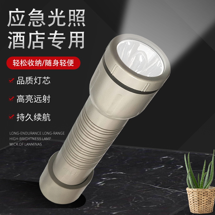 New Hotel Guesthouses LED Fire Flashlights USB Straight Charging Guest Room Hanging Wall Style Escape Emergency Floodlight Glare