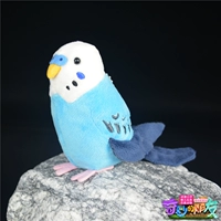 Синий попугай