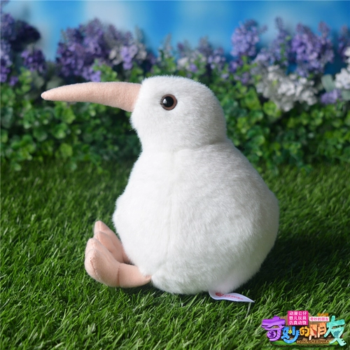 Новая Зеландия странная птица Киви