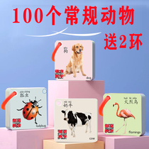 Early childhood animal daily necessities card baby 3-6 years old kindergarten baby recognition fruit and vegetable