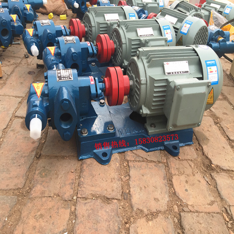 Straight For Paint Pump Large Flow Paint Pump KCB-33 3 kcb-55 with motor set 