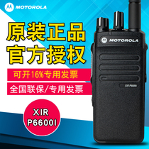 Motorola XIR P6600i digital walkie-talkie P6600I explosion-proof walkie-talkie chemical plant professional hand desk