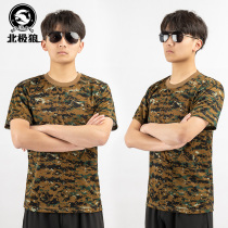 Arctic Wolf summer outdoor camouflage T-shirt mens short sleeve military fans breathable training clothing sports compassionate physical training degree