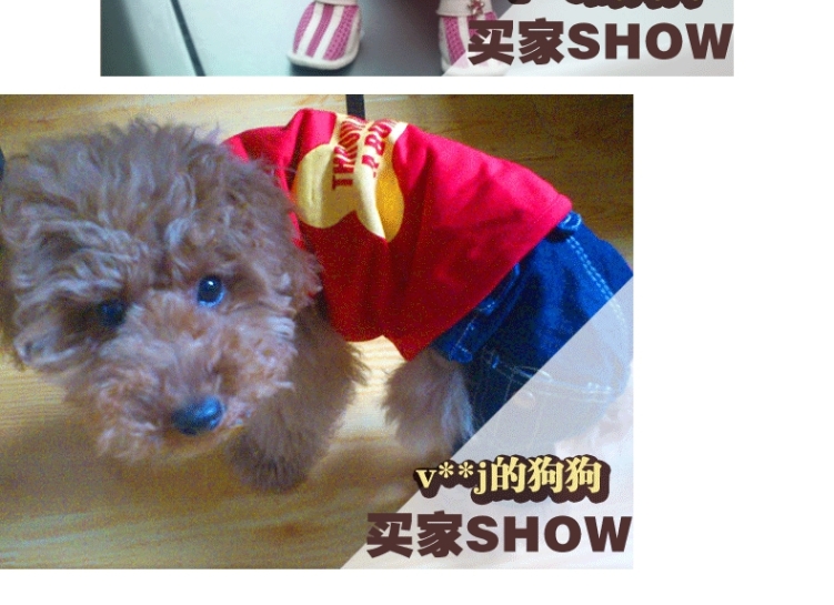 Chó con chó con quần áo thú cưng Áo phông Teddy Bomei schnauzer hơn gấu mùa hè mỏng con chó nhỏ quần áo mùa hè - Quần áo & phụ kiện thú cưng áo thú cưng