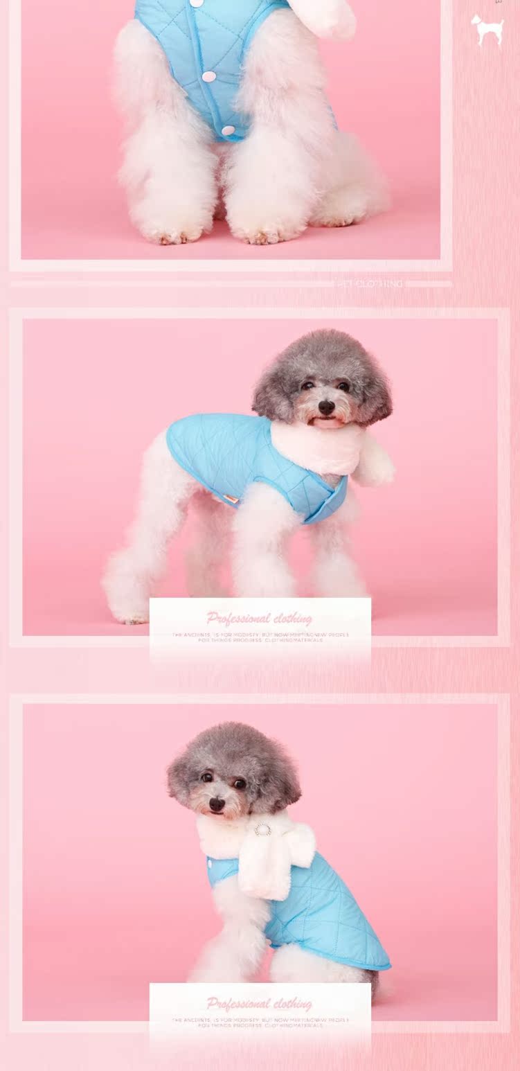 Chó con quần áo gấu Teddy Xiong Bomei Xuena Ruiji búp bê nhỏ cún con mùa thu và mùa đông mặc quần áo thú cưng Wei - Quần áo & phụ kiện thú cưng quần áo thú cưng giá rẻ