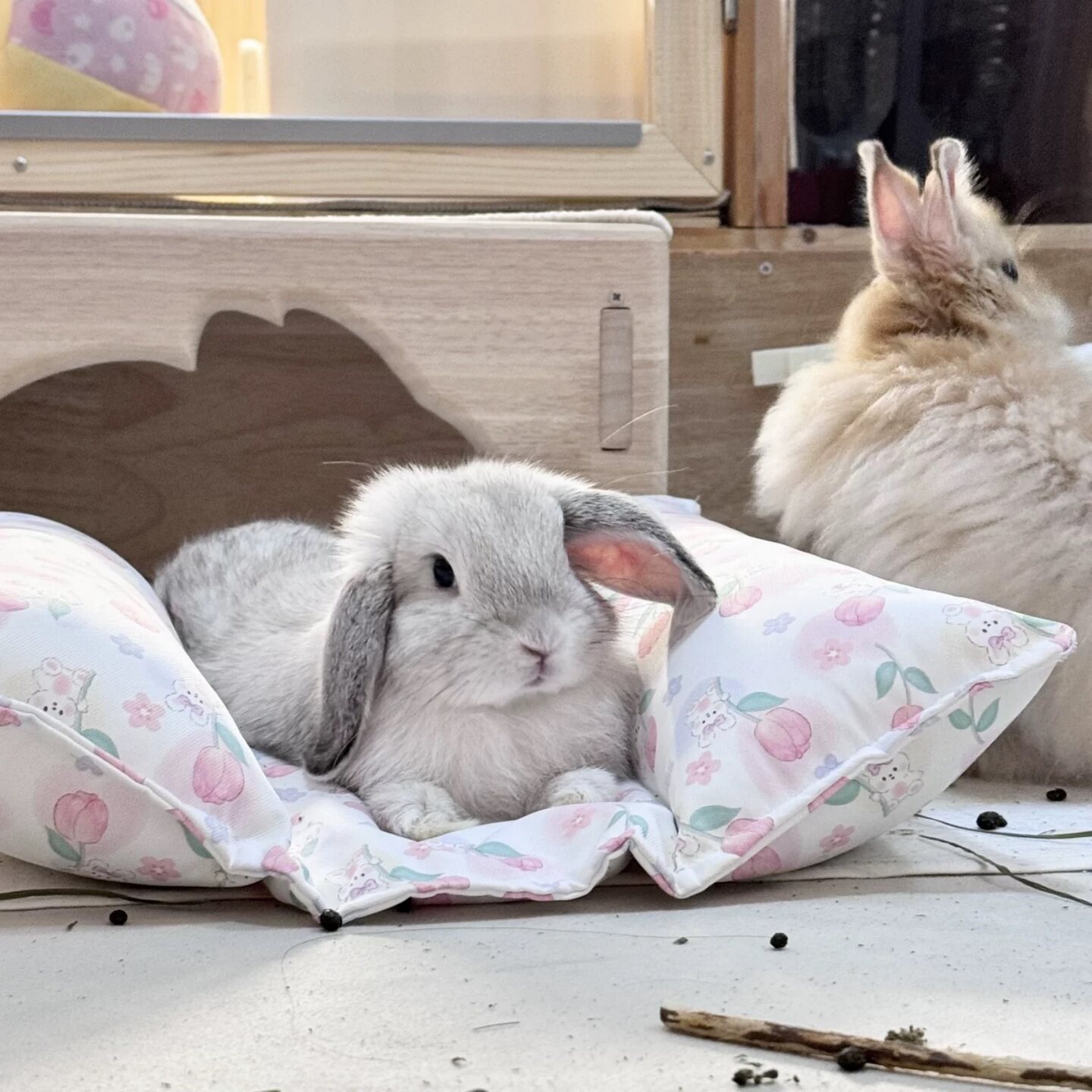 Pet mat, small pet mat, rabbit lounger mat - waterproof, handmade ...