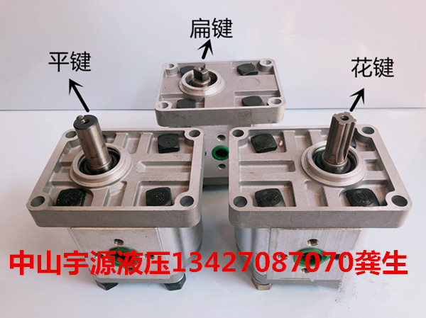 CBN-F304 CBN-F306 CBN-F310 CBN-F314 CBN-F316 Right turn high pressure gear pump