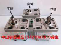 CBN-F304 CBN-F306 CBN-F310 CBN-F314 CBN-F316 Right turn high pressure gear pump