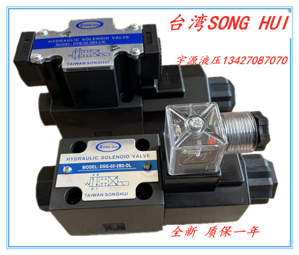 Taiwan SONGHUI hydraulic solenoid valve DSG-02-2B2-DL DSG-02-2B2-LW AC220 DC24V