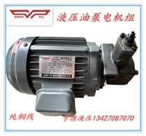Hydraulic oil pump motor unit 0 75KW 1 5KW 2 2KW 3 7KW VP20 15 40FA3 Taiwan Shenyu