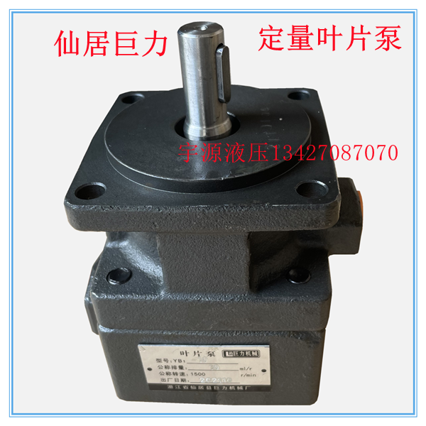 Xianju Giants quantitative vane pump YB1-4 YB1-6 YB1-10 YB1-10 machine tool hydraulic oil pump 12 16 20