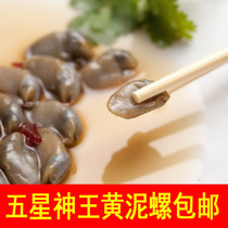 Dafeng drunk mud snail God king yellow mud snail Five-star wild drunk snail No sand crisp cool Yancheng specialty free shipping