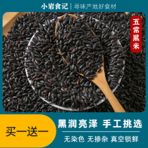 Northeast black rice grain farmers produce black brown rice black rice 500g black rice porridge raw material new rice