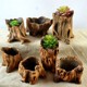 Creative personality retro cement anti-tree wood succulent flower pot tree root pile green plant potted platter