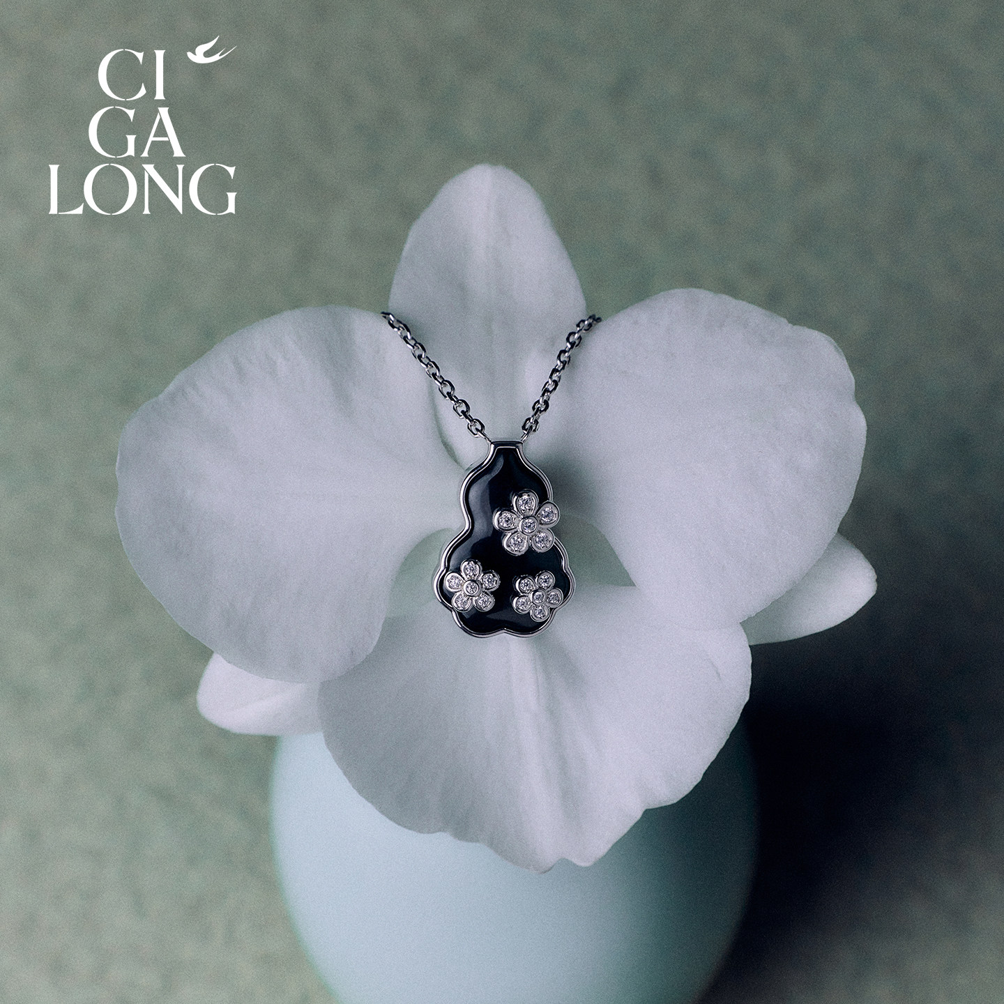 CIGALONG phlox flower necklace