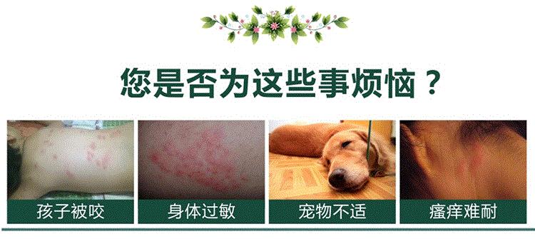 Vật tư tẩy giun trong ống nghiệm, nhíp, bọ chét, mèo trong, cào cào, chó, bọ chét, chó cưng - Cat / Dog Medical Supplies Xi lanh tiêm thú y