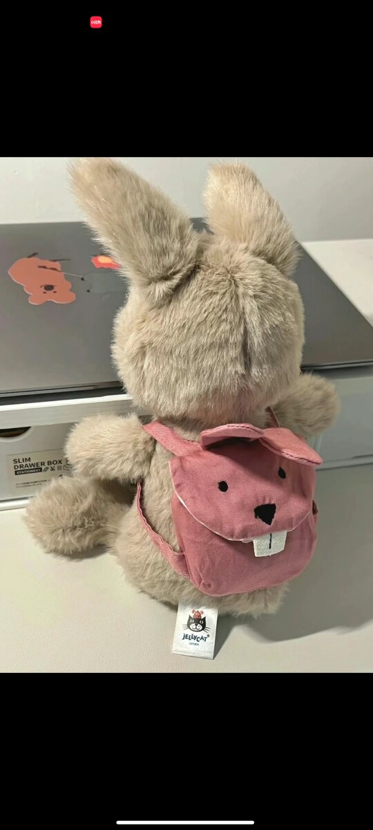珊珊的服装