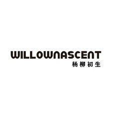 Willow nascent  杨柳初生的LOGO