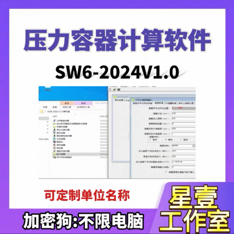 Pressure Vessel Calculation Software Sw6-2024 V1.0 Standalone Version Registered Version/Dongle Remote Installation