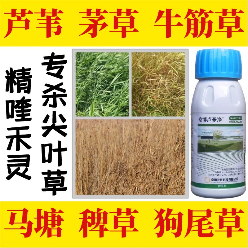 Jing Quin Ling Wo special killing reed thatch dead goose tendon grass orchard vegetable field killing hair weed weeding reed medicine weeding rotten root agent
