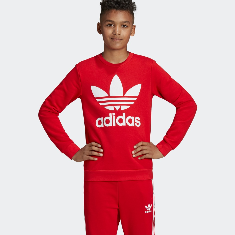 Trefoil adidas костюм