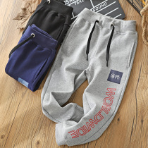 Childrens pants boys 2020 Autumn new sports pants in big children Korean version of foreign style cotton casual loose trousers