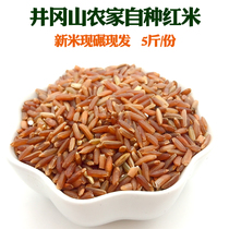 Jinggangshan red rice red brown rice moon rice red terrier rice Xuan rice red rice whole grain new rice farm new rice 5 pounds
