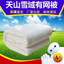 Tianshan snow-covered cotton tresses and cotton quilts Xinjiang specialties have nets and were covered by the Student Army.