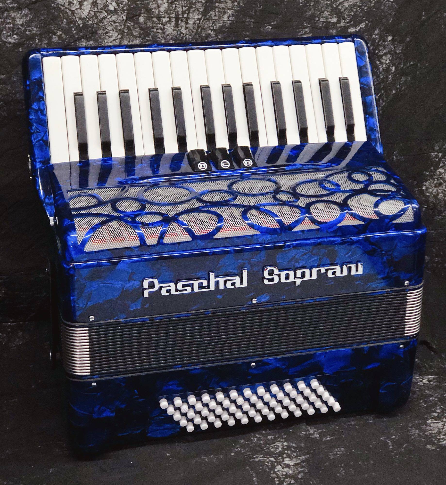 Italian Sobrani 30-key 60 bass accordion Chengdu Sunshine New Industry Accordion Studio