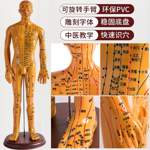 Физиологичное иглоукалывание, манекен головы для всего тела, медная практика, обучение