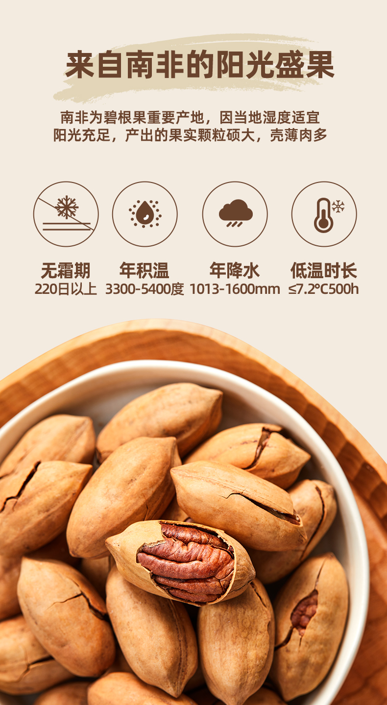 天猫超市 棒倍特 奶香碧根果 500g 图3