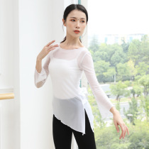 Sashimi Bevelled Classical Dance Dress Ballet Dancer Ballet China Dance Chinese Dance Modern Dance Rehearsical body test class-based training class