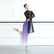 Classical dance costumes flutter out of the classical dance practice Gongfu Gust Body Tennis dress Dance Rhyme Yoga