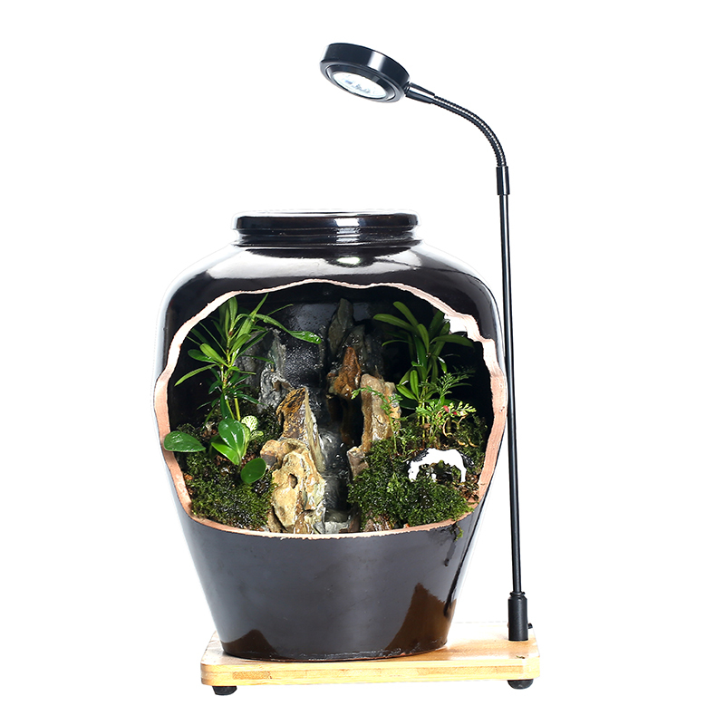 By sumeru world creative ceramic tank micro potted landscape water, tea pet Chinese zen furnishing articles