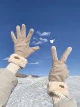 Lady Autumn Winter New Pint Minima Double Layer Thickened Add Fleece Touch Screen Warm Gloves Ins Cute Riding Gloves